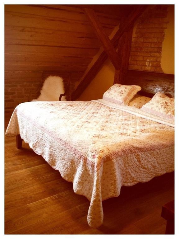 Dvur Olsiny -Hotel And Horse-Riding Karviná Room photo